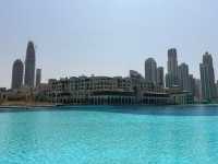 A Nice Addition to Dubai Mall