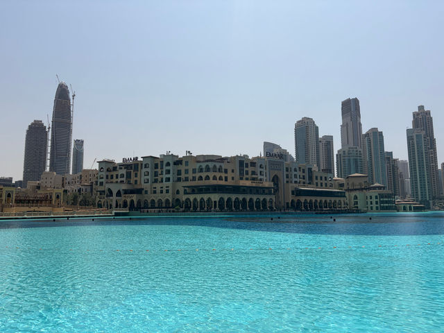 A Nice Addition to Dubai Mall