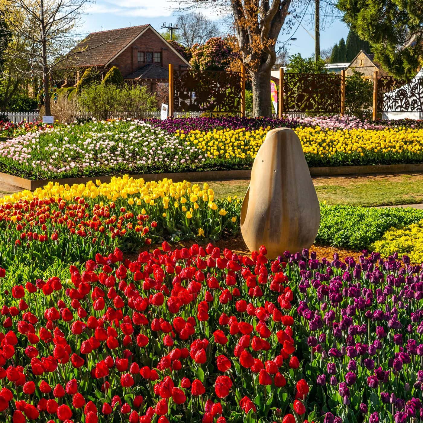 Experience diverse activities at Sydney's spring flower shows and arts festivals