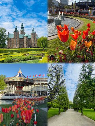 Ikuti saran ini! Berwisata secara mandiri adalah cara yang tepat untuk menikmati Denmark; kerajaan bak negeri dongeng ini sungguh menakjubkan!