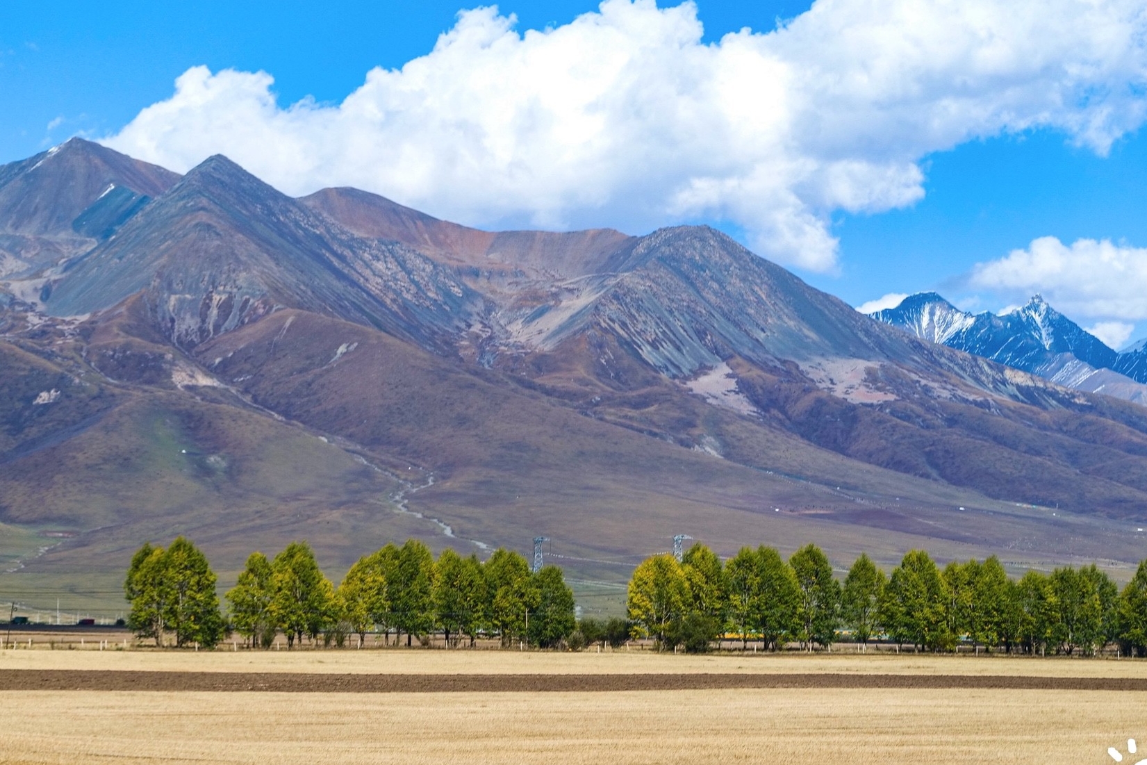 Stay in a tent on the Qilian Mountain grasslands