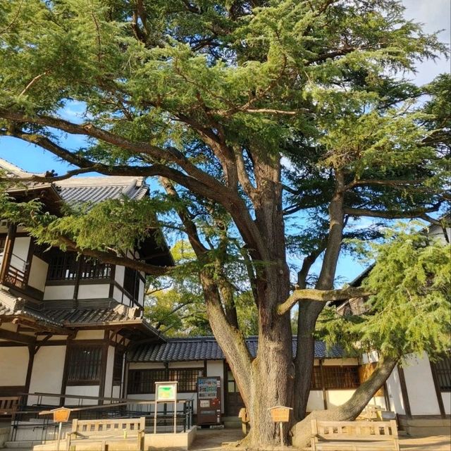 栗林公園　高松市
