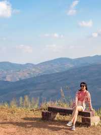ซากุระเมืองไทย สวยไม่แพ้ที่ใดในโลก 