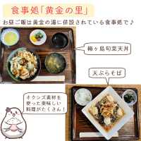 【静岡】梅ヶ島温泉郷　立ち寄りスポット5選