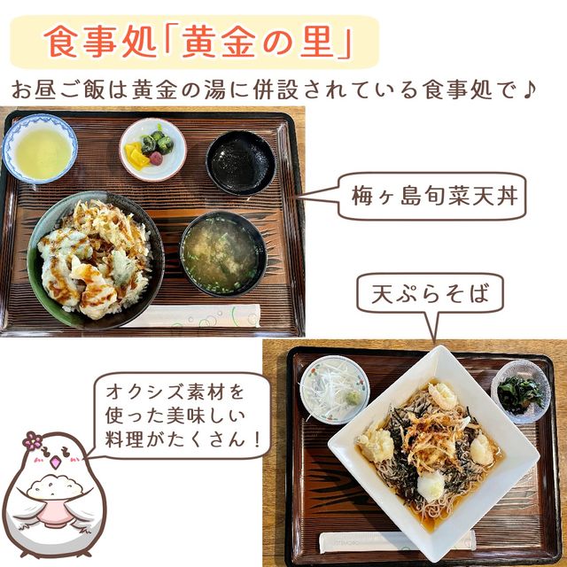 【静岡】梅ヶ島温泉郷　立ち寄りスポット5選