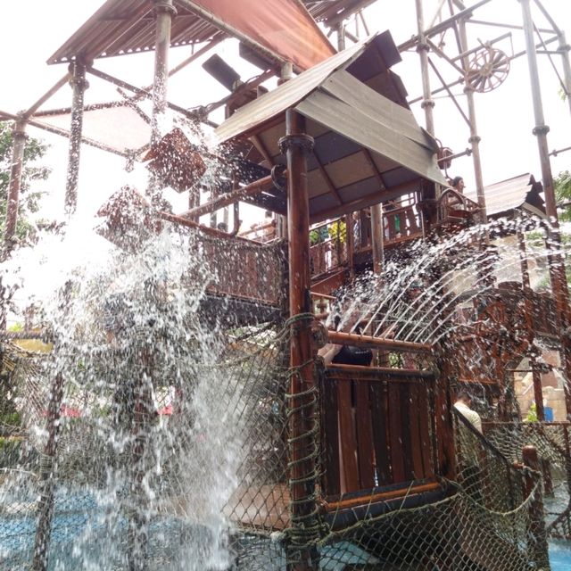 Exciting Escapes at Adventure Cove Waterpark