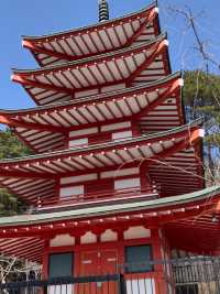 🇯🇵🗻富士山必打卡點📸新倉富士淺間神社⛩️