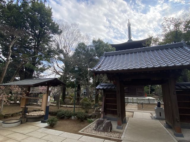 東京好有特色貓貓豪德寺