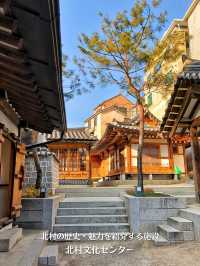 【韓国旅行】初めてのソウルなら絶対に訪れたい『北村韓屋村』韓国らしい街並みを体験‼️
