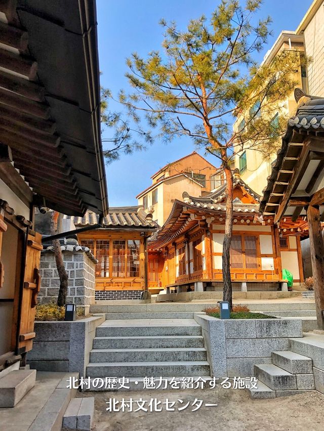 【韓国旅行】初めてのソウルなら絶対に訪れたい『北村韓屋村』韓国らしい街並みを体験‼️