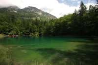 瑞士Blausee Natural Park (藍湖自然公園)