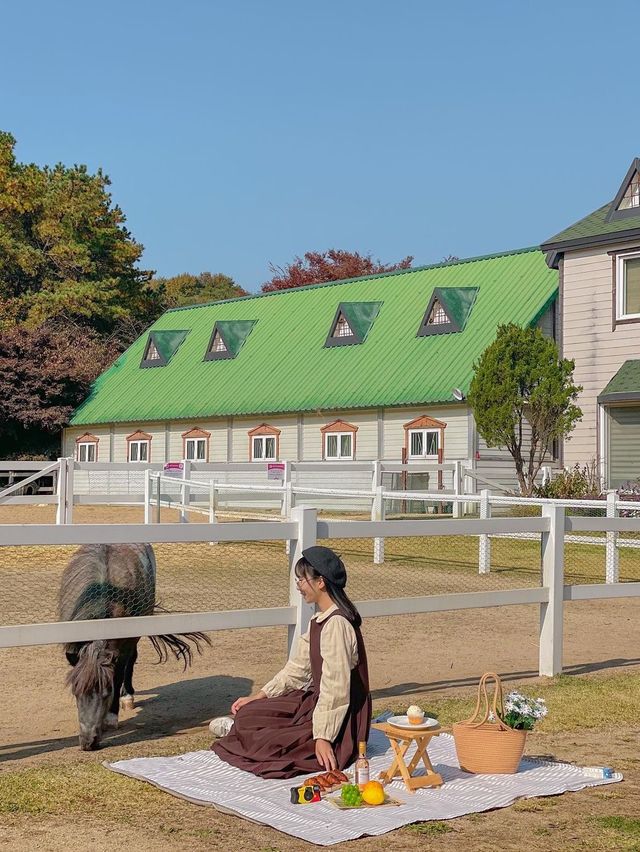 목장 체험이 가능한 화성시 카페 추천!