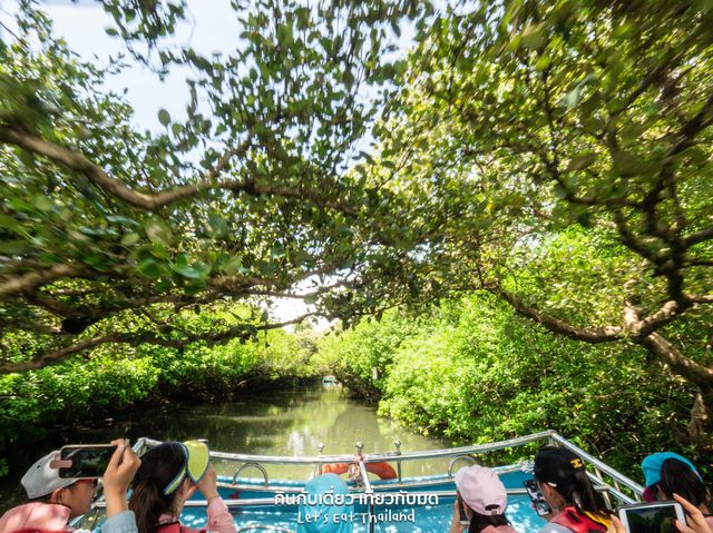 นั่งเรือชมป่าโกงกาง ไถหนาน