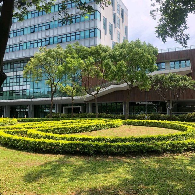 中原大學