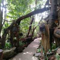 สวนป่าตากา อำเภอวังเจ้า