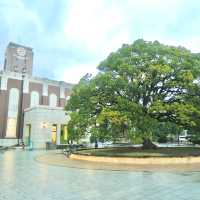 京阪神散步地圖
