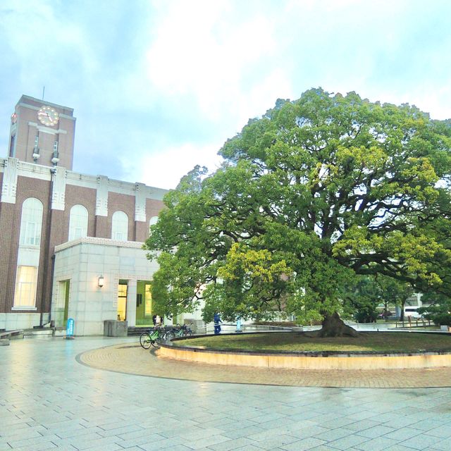 京阪神散步地圖