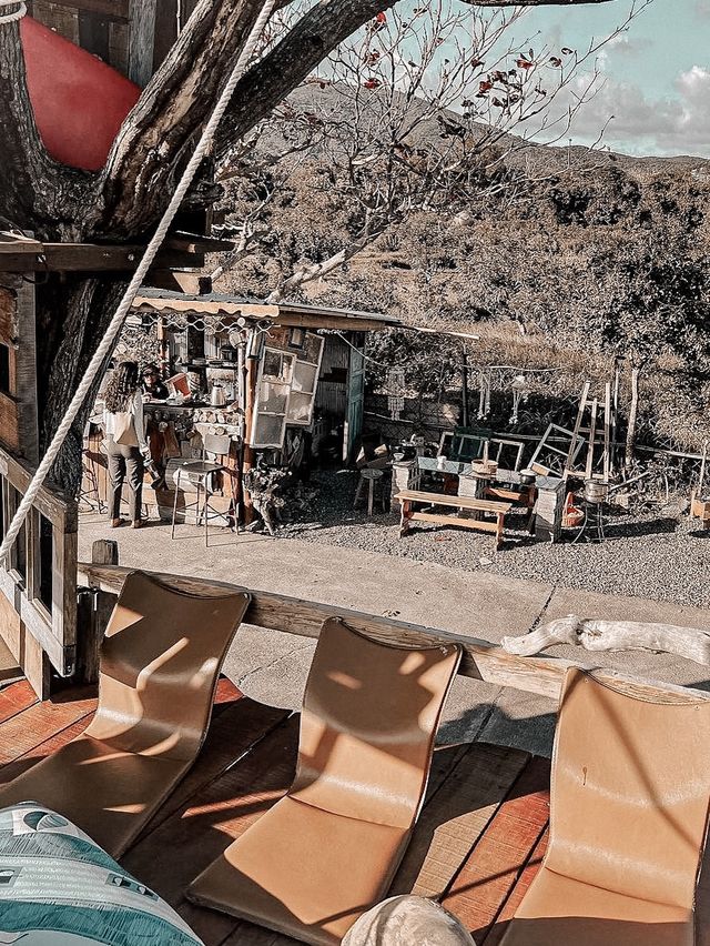 台灣熱門網紅必到開門見山樹屋咖啡Treehouse cafe☕️