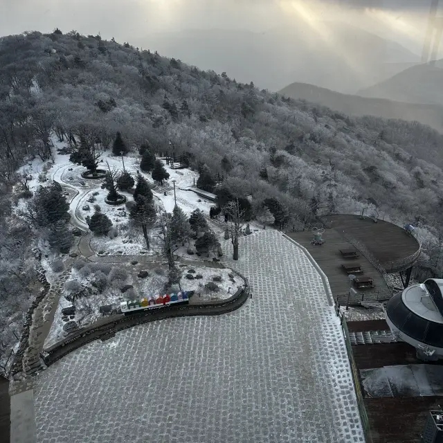 Snow fall in Korea!