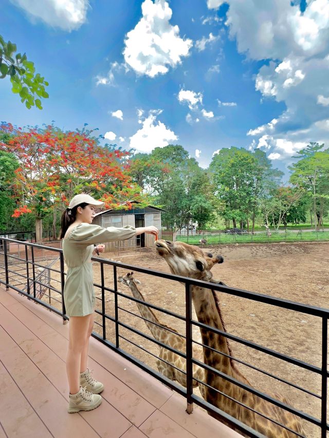 สวนสัตว์ โบนันซ่า เขาใหญ่