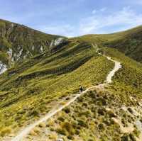 📍紐西蘭皇后鎮。Queenstown Ben Lomond Saddle/Summit 1748米