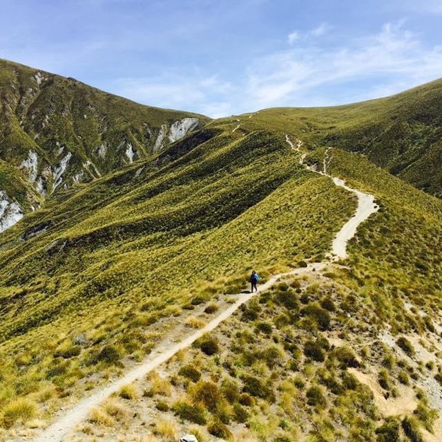 📍紐西蘭皇后鎮。Queenstown Ben Lomond Saddle/Summit 1748米 📍紐西蘭皇后鎮。Queenstown Ben Lomond Saddle/Summit 1748米