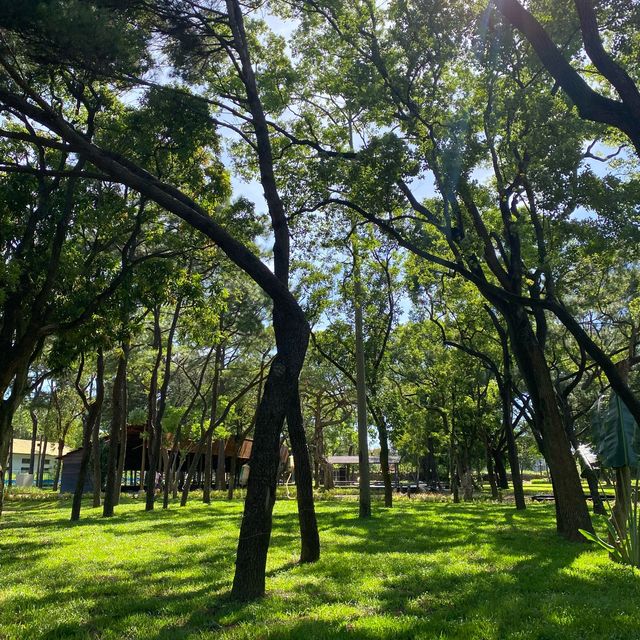 蝴蝶花園🦋