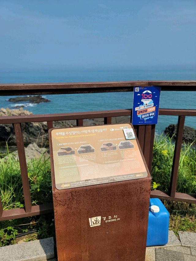 아름다운 바다위 그림같은 경주 양남 주상절리🪨🌊