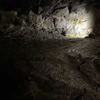 富岳風穴 WIND CAVE