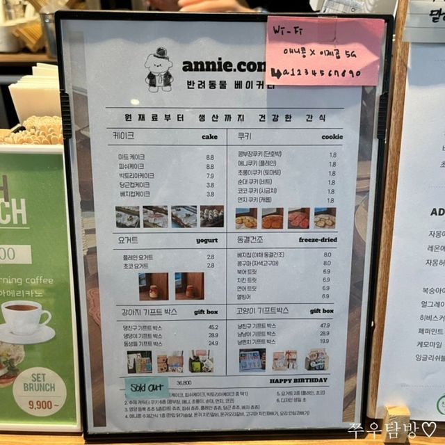 애견동반 가능한 감성 카페 애니콩