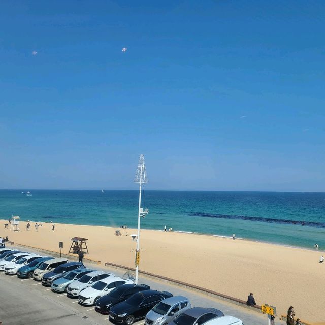 강릉여행, 커피거리 안가면 너무 아쉽죠!!