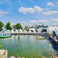 The Wheel Estate Campsite 