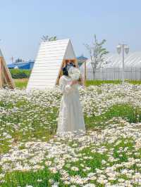 현시각 청주에서 제일 예쁜 카페🌼🤍