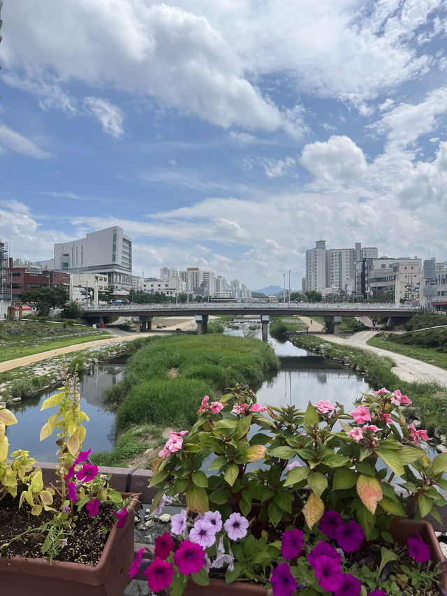 대전 역사를 따라가는 이색여행