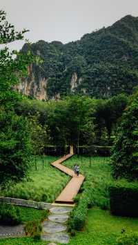 Into the forest จ.กระบี่