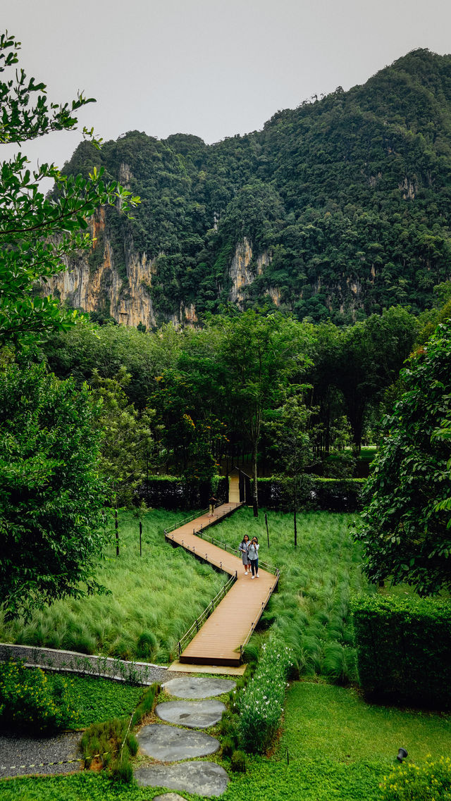 Into the forest จ.กระบี่