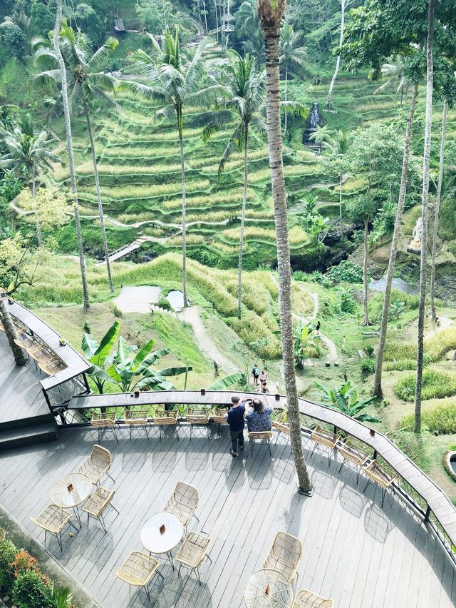 Let’s swing at paddy 🌾 fields in Bali 🇮🇩