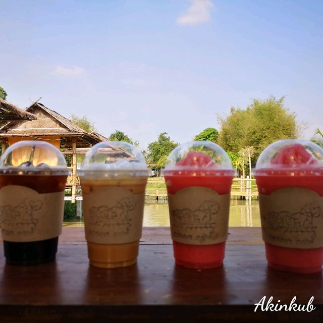 คาเฟ่กลางทุ่งนา นครนายก