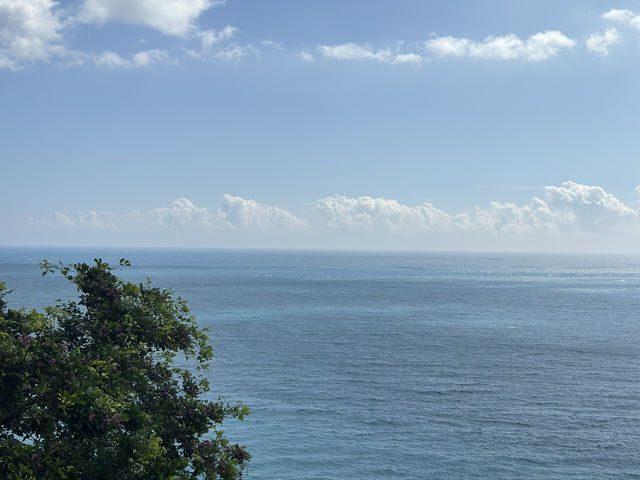 🏞️ 花蓮清水斷崖：大自然的壯麗巨作 🌊