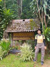 ดอยสอยมาลัย⛰️