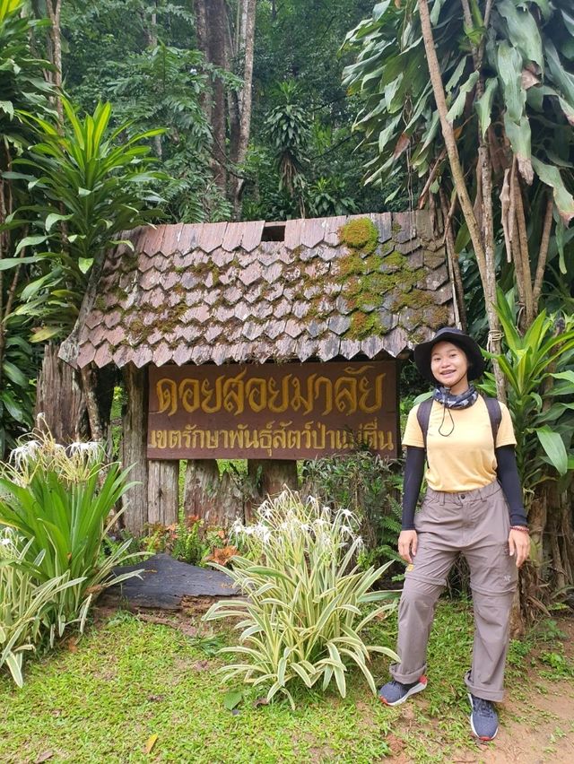 ดอยสอยมาลัย⛰️