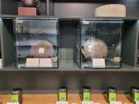Tranquil Tea Haven: The Beautiful Tea Museum