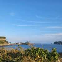 Jeju's Natural Marvel - The Oedolgae Rock