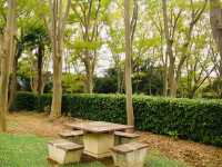 Negishi Forest Park