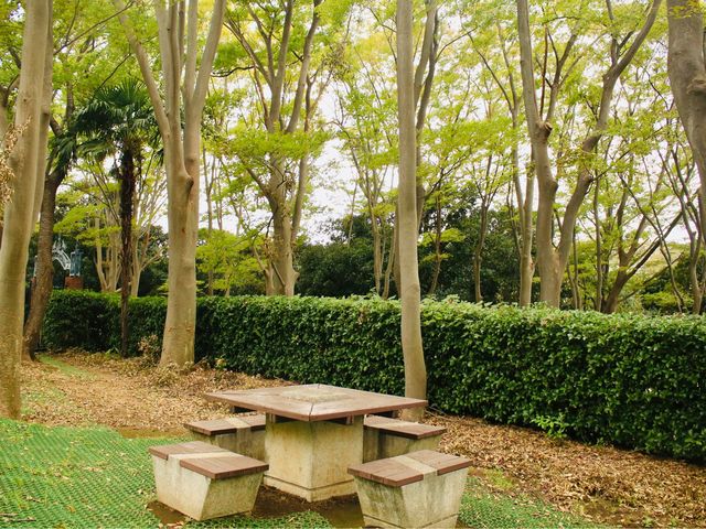 Negishi Forest Park