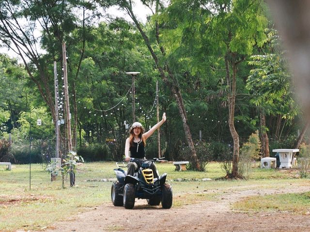 เขาใหญ่ อีส คอลลิ่ง 💚