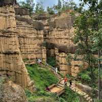 ผาช่อ Phachor (Mae Wang National Park) เชียงใหม่