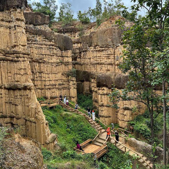 ผาช่อ Phachor (Mae Wang National Park) เชียงใหม่
