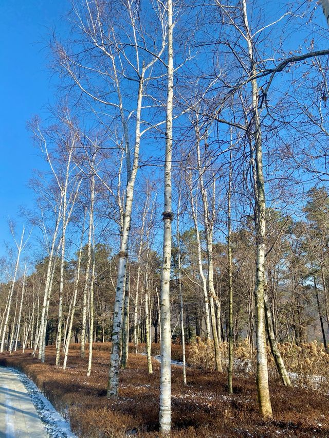 눈올때 가면 더 멋있는 강원도 원주 뮤지엄산💙❄️