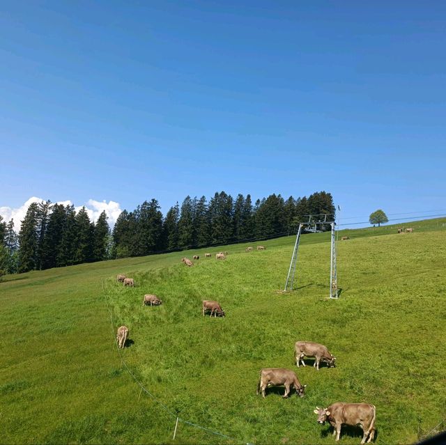 Rigi - Queen of the Mountains